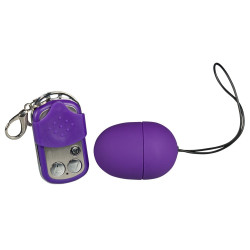 Purple & Silky Remote controlled vibro Egg