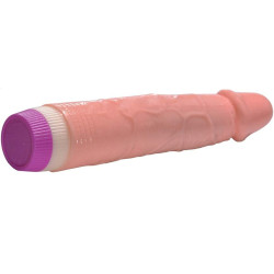 Dildo Penetrating Jelly Vibe Flesh Penis